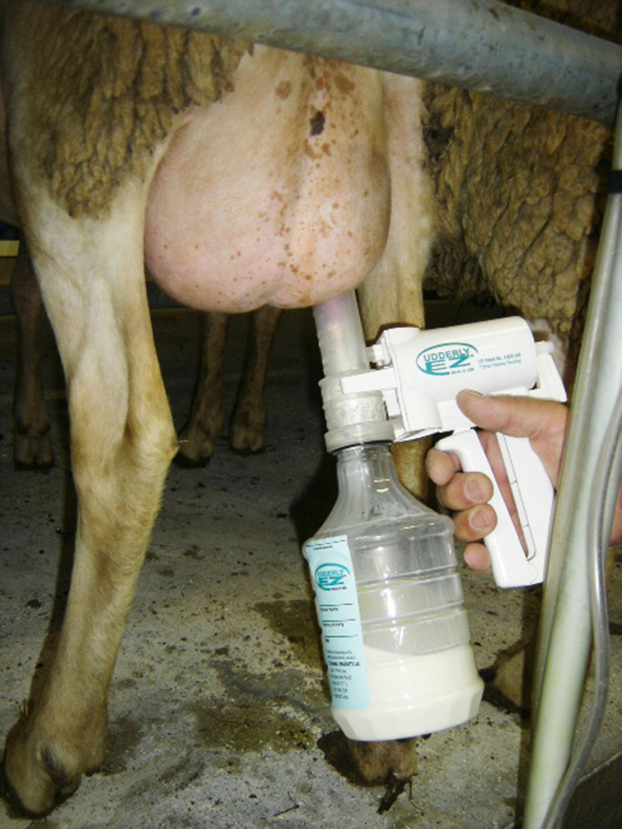 Kerbl Artikel 27602 im Online Shop kaufen