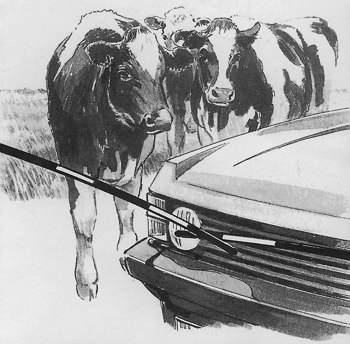Kerbl Mini-Elektroschranke 1,2 m Komplett Set 44283