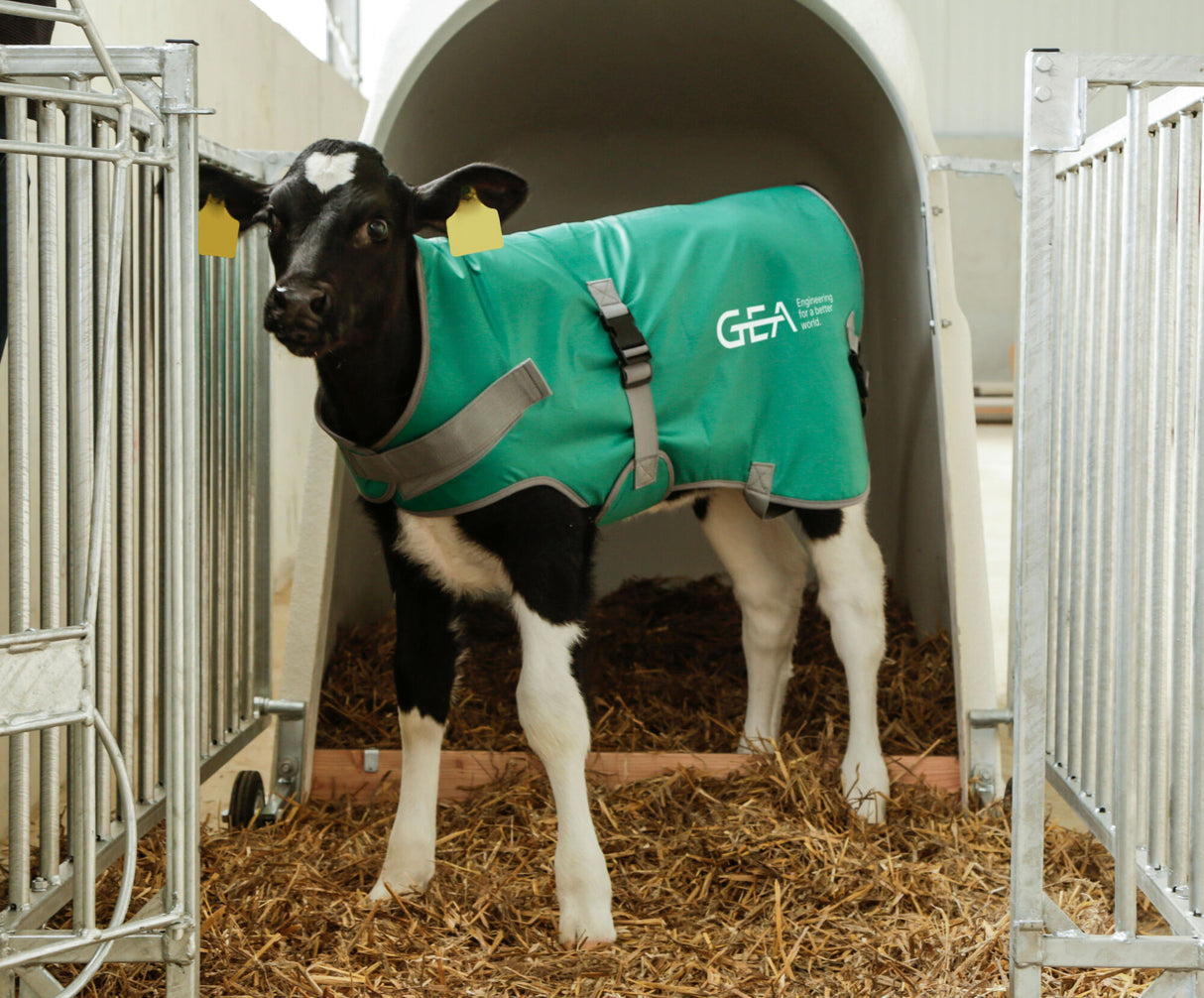 GEA-Kälberdecke, 70cm - 7315-5152-100 (14146-GEA / 73155152100)