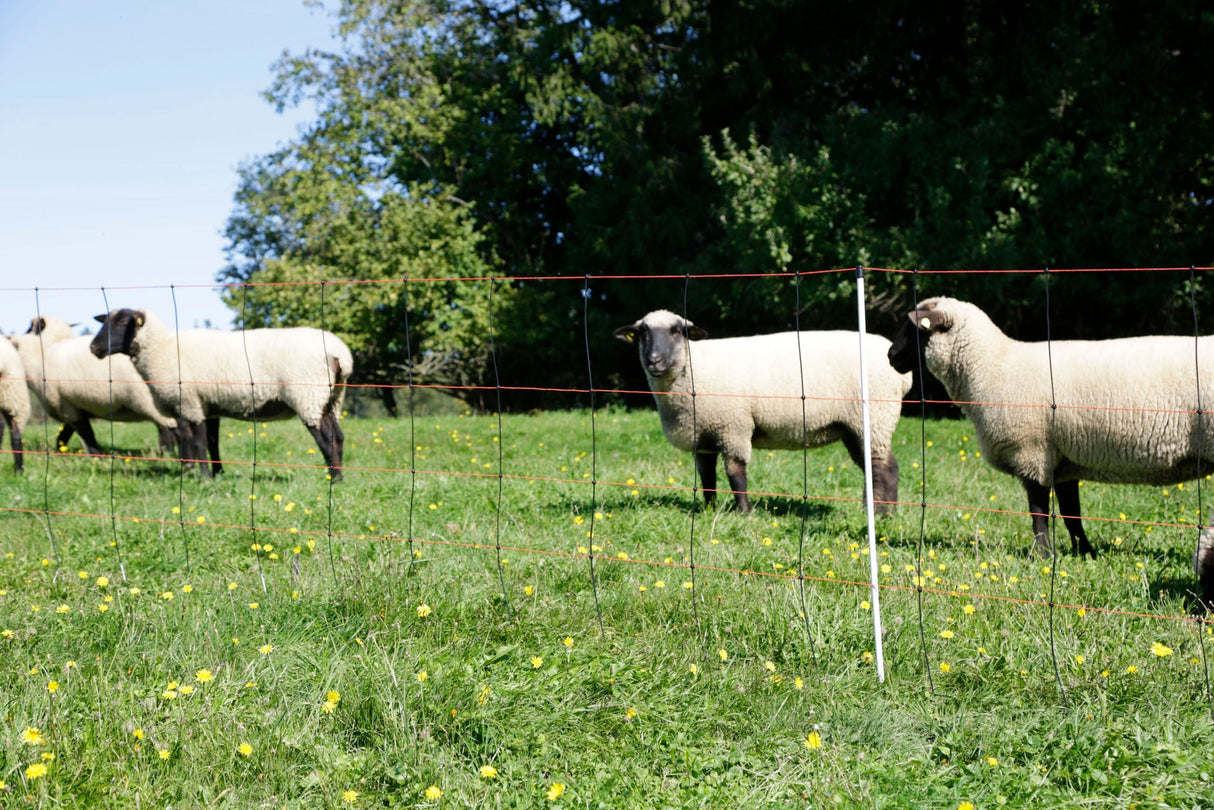 Kerbl TITAN LIGHT Schafnetz 50m Höhe: 90cm Doppelspitz 1 Stück 27352