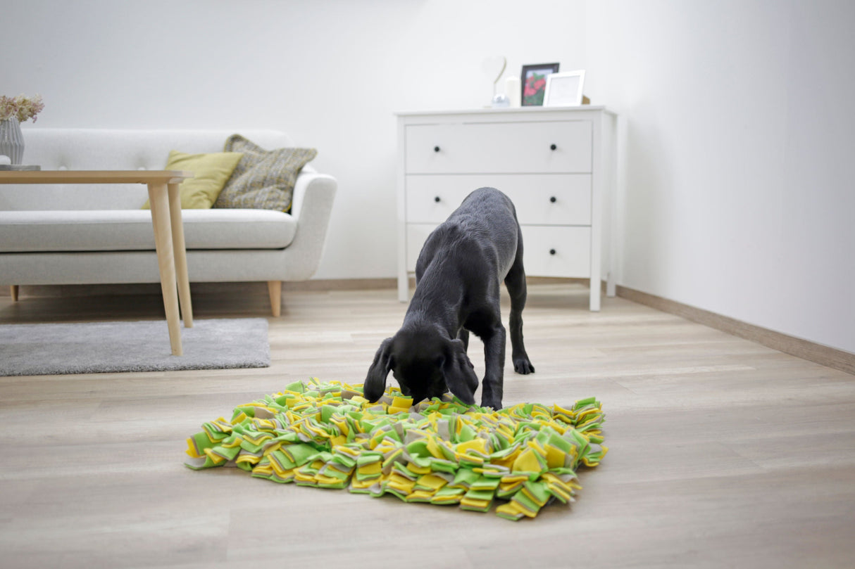 Kerbl Artikel 80780 im Online Shop kaufen