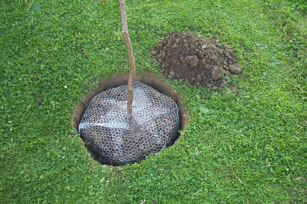 Kerbl Wühlmauskorb, groß, 60cm 291172