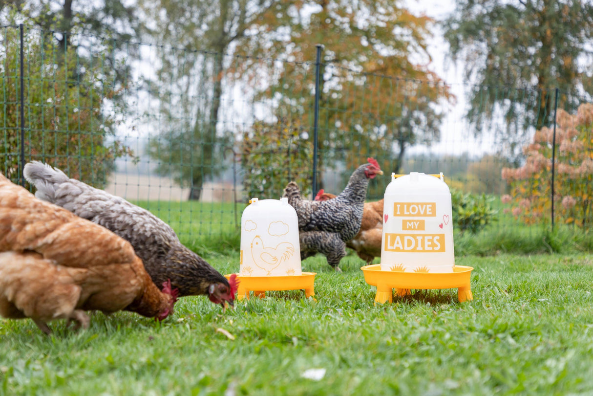 Kerbl Kunststoff-Tränke 5 l, mit Füßen, orange mit Motiv - 70167