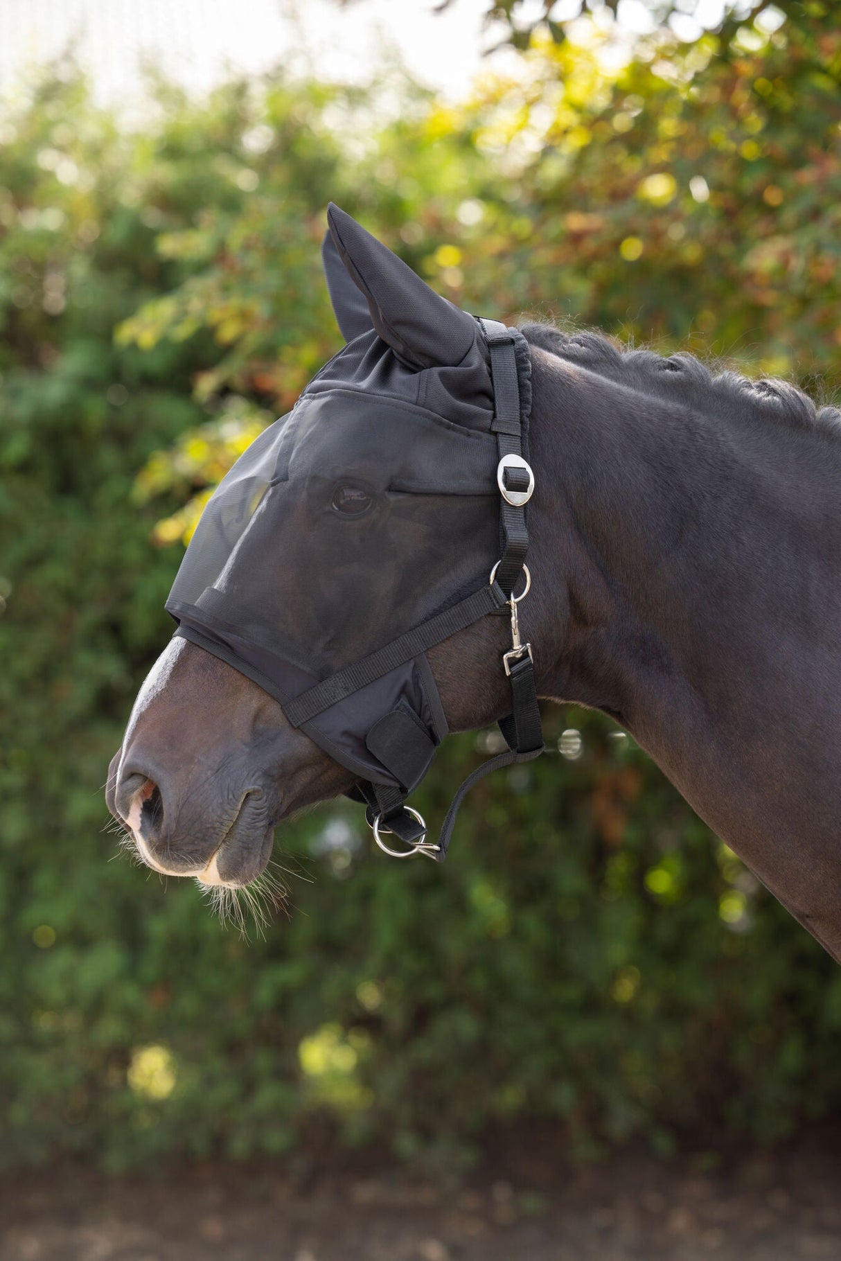 Kerbl Halfter mit integr. Fliegen- schutzmaske, Pony - 3228236