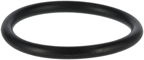 O-ring P32