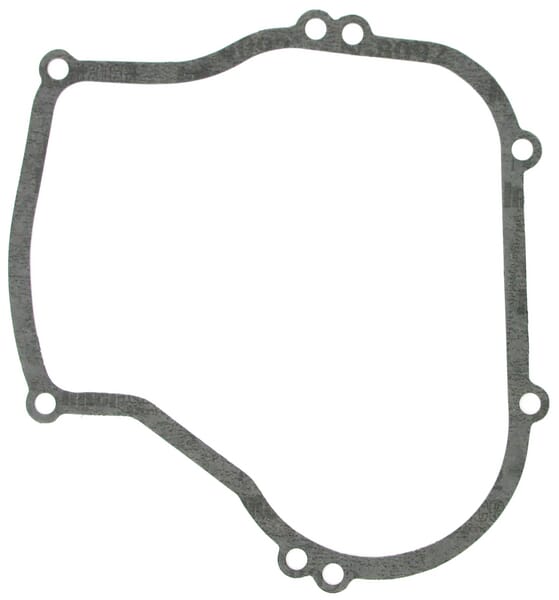 Briggs & Stratton Ölwannendichtung 270069