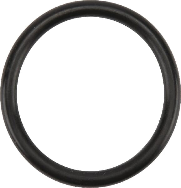 Birchmeier O-Ring 31,34 x 3,53 50117062