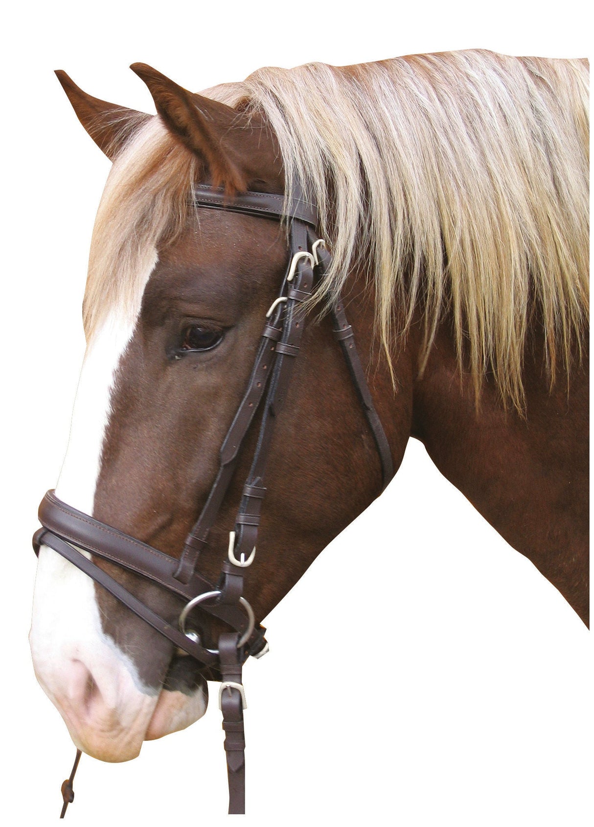 Kerbl Artikel 321179 im Online Shop kaufen