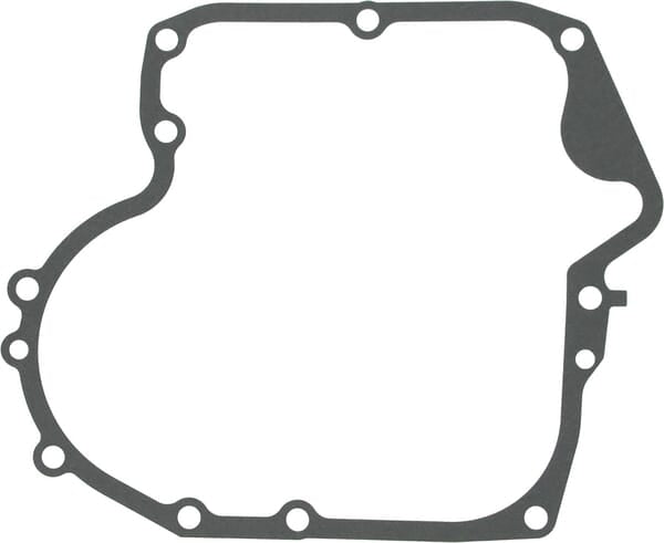 Briggs & Stratton Ölwannendichtung 697110