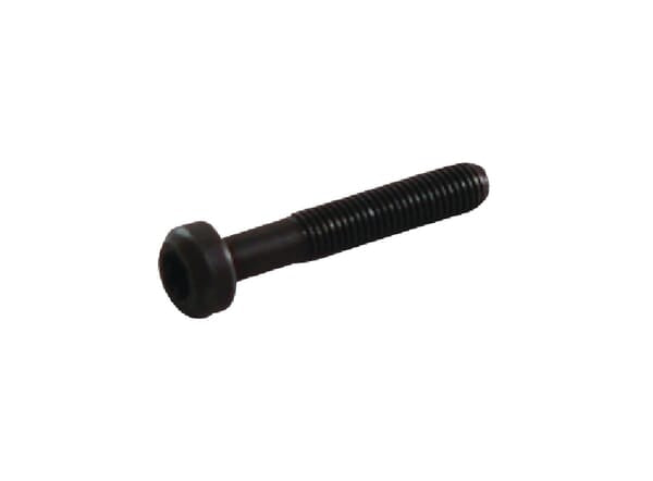 Briggs & Stratton Pleuelschraube 791118
