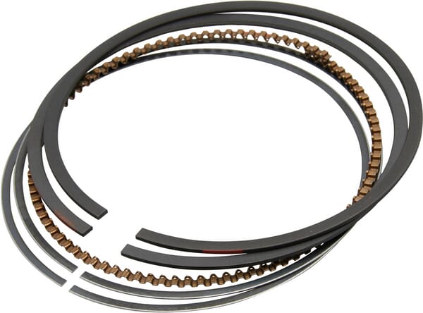 Briggs & Stratton Ringsatz 020 792073
