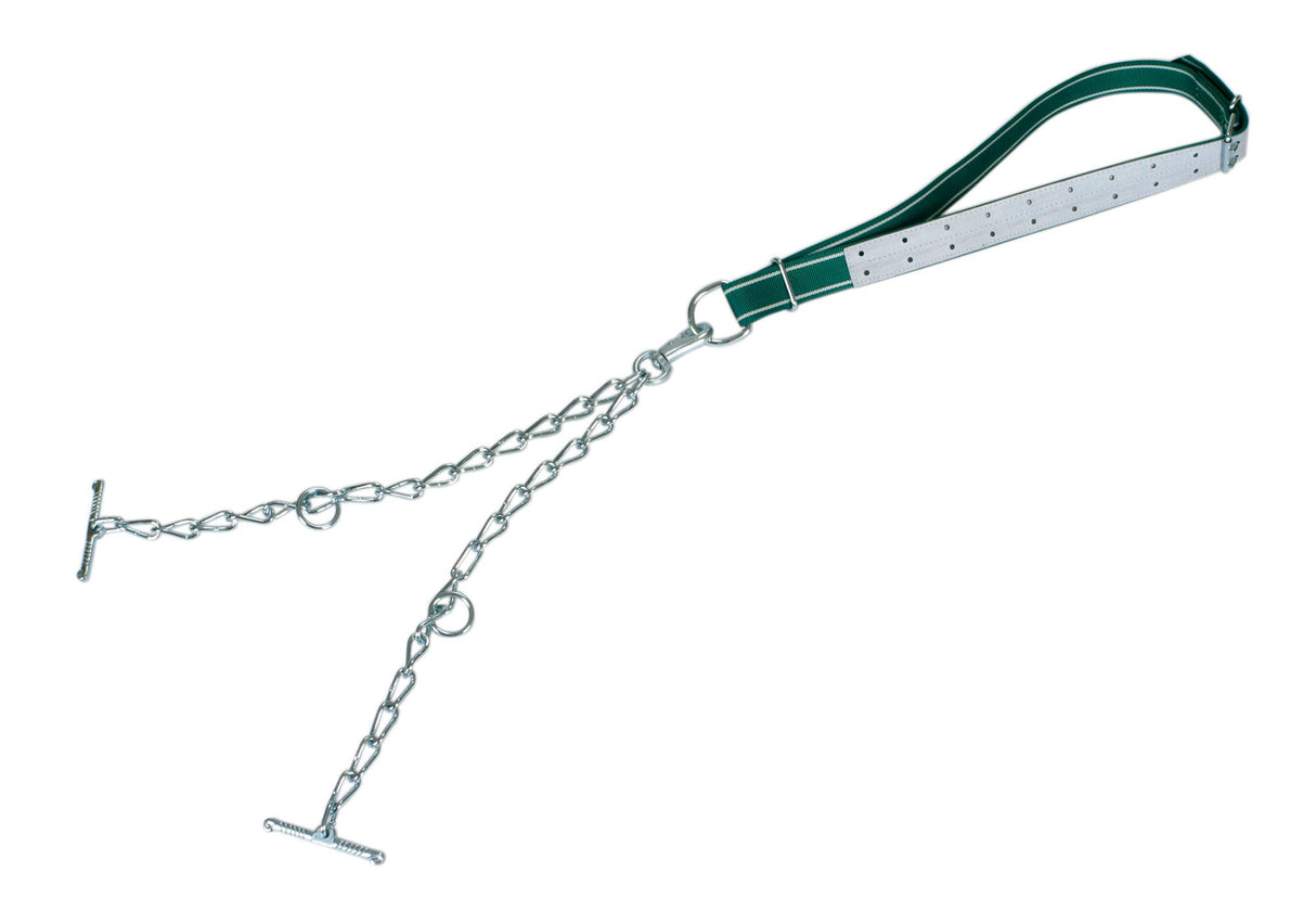 Kerbl Jungbullenanb. kompl., Kette 6mm, dopp., mit Karabiner 12410
