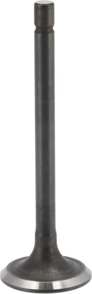 Briggs & Stratton Auslassventil 843752
