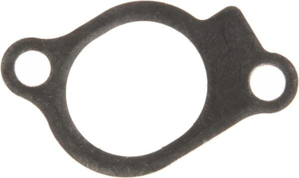 Briggs & Stratton Ansaugdichtung 847671