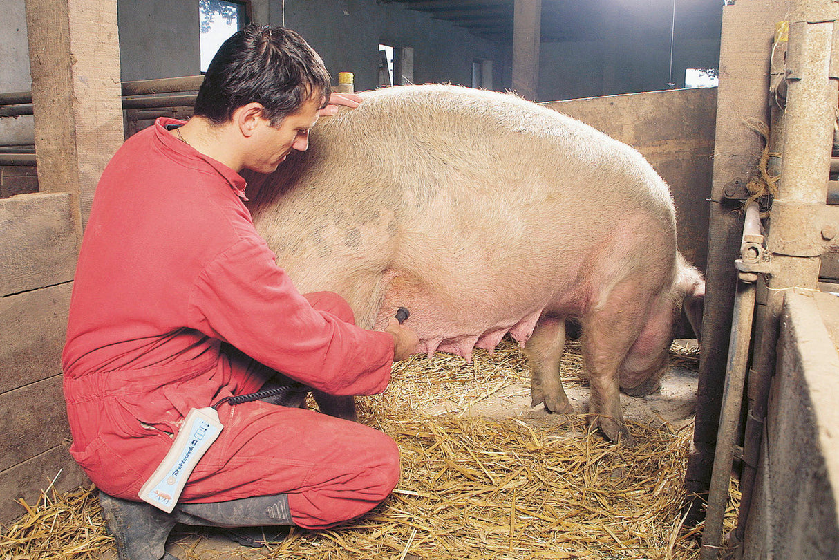 Kerbl Trächtigkeitsgerät f. Schweine mit Spiralkabel-Sonde 22130