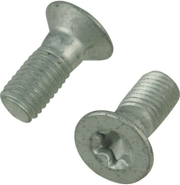 Trioliet Torxschraube M10x25 84913
