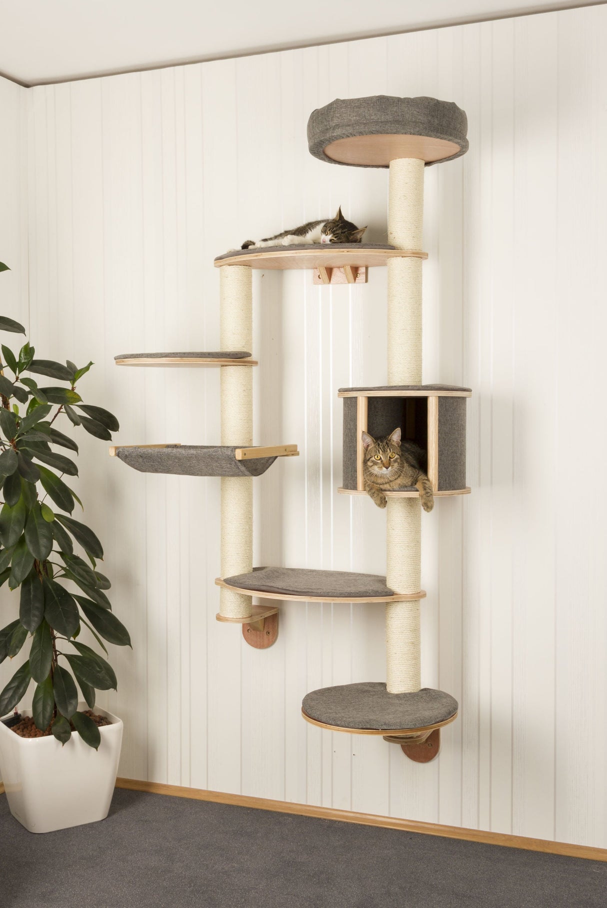 Kerbl Artikel 81541 im Online Shop kaufen