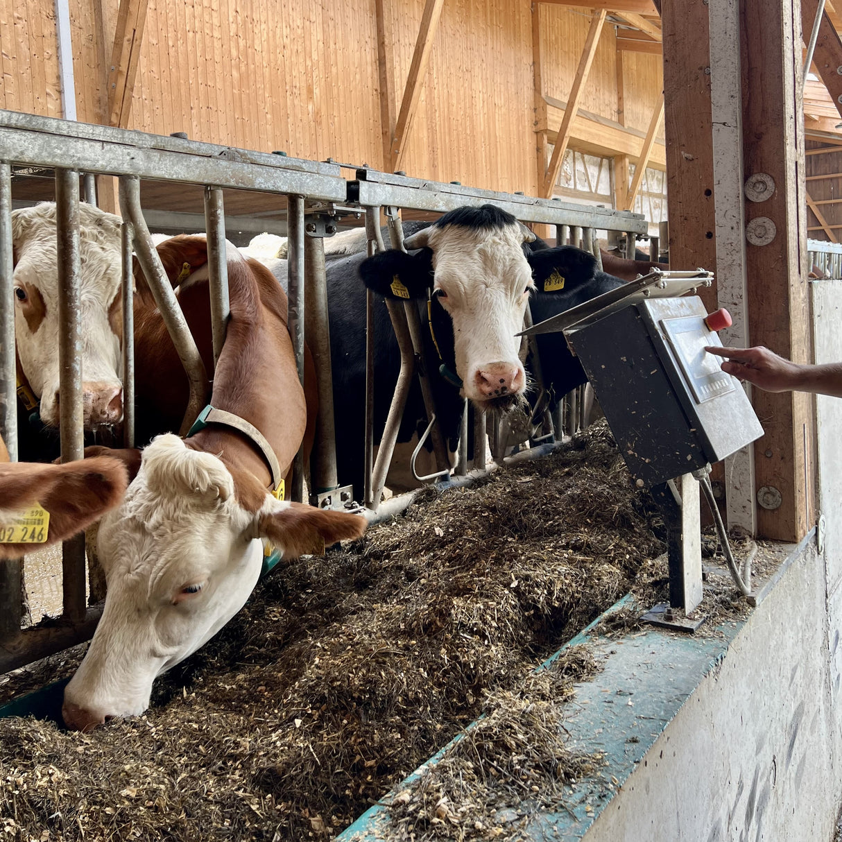 Bande d'alimentation Feedstar