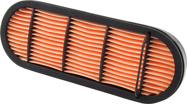Landini Filter 3695442M92