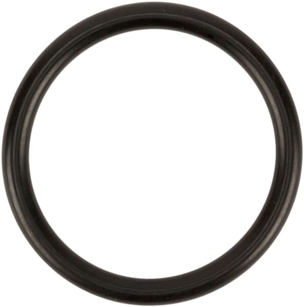 UDOR O-Ring D31,34 (RIF.4125) UD110127