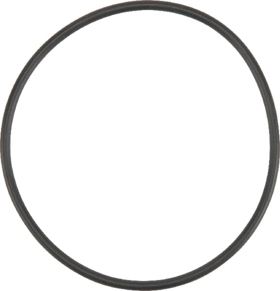 AGCO O-Ring X548953166000