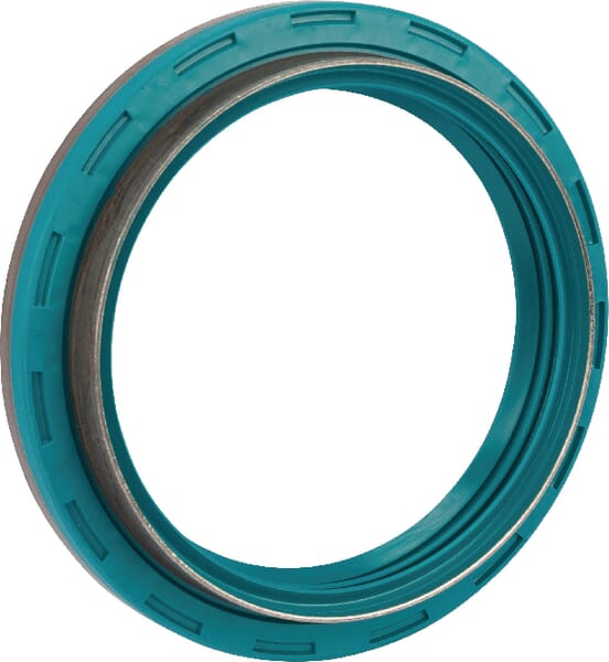 Oil seal