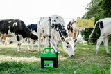 Kerbl Artikel 392502 im Online Shop kaufen