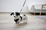 Kerbl Artikel 80677 im Online Shop kaufen
