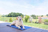Kerbl Artikel 80841 im Online Shop kaufen