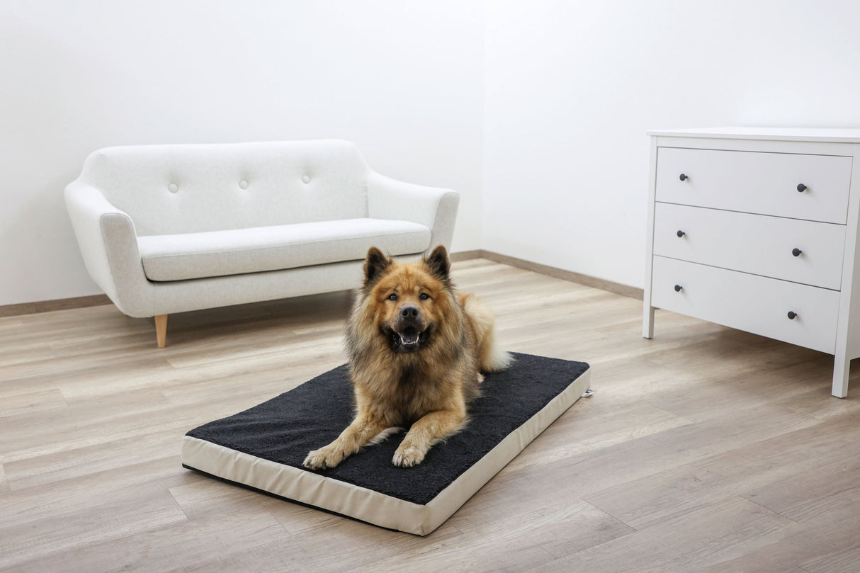 Kerbl Artikel 80326 im Online Shop kaufen