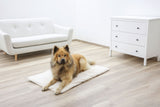 Kerbl Artikel 80376 im Online Shop kaufen
