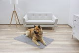 Kerbl Artikel 84002 im Online Shop kaufen