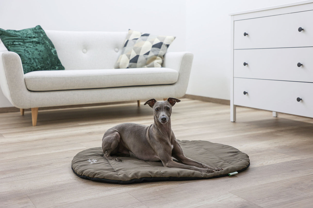 Kerbl Artikel 81266 im Online Shop kaufen