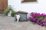 Kerbl Katzenhaus Paola Eco 60 x 51 x 41 cm - 81341