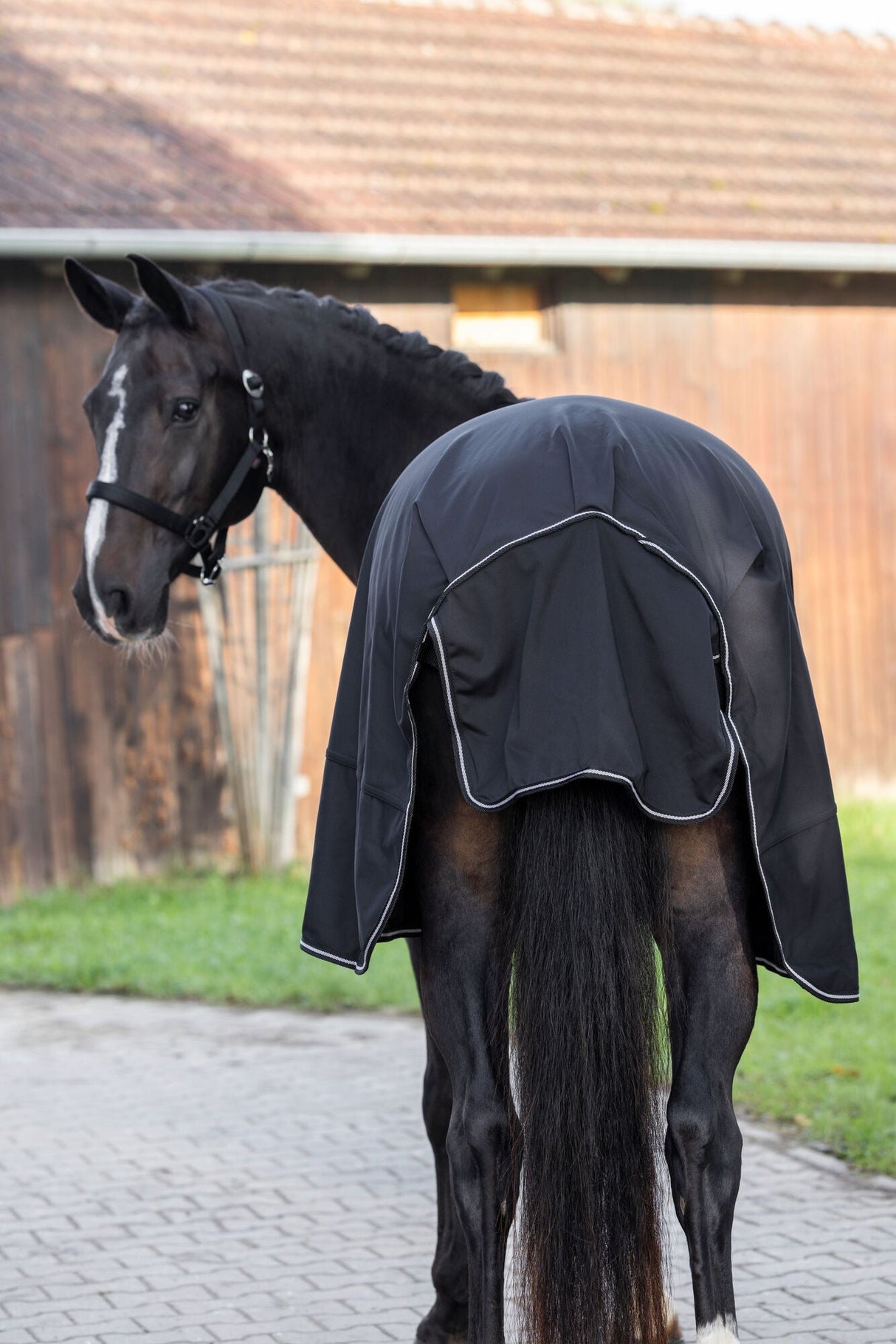 Kerbl Führanlagendecke schwarz 145 cm - 3228277