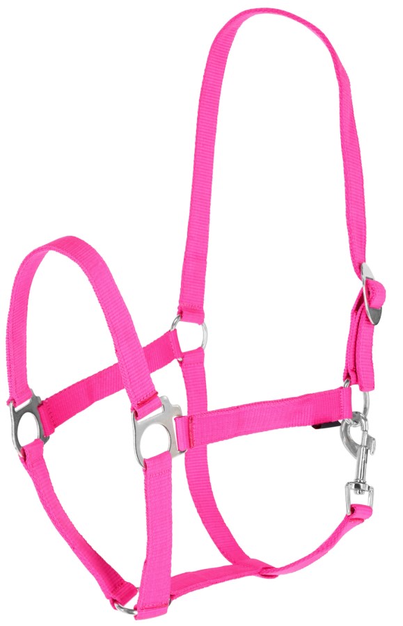Covalliero Nylonhalfter Hippo, XFull, pink - 3230439