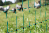 Kerbl Geflügelnetz 50 mtr., 106 cm Einzelspitz, grün, ohne Strom 1 Stück 292276