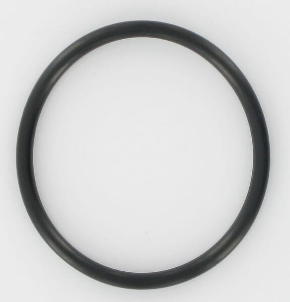 Briggs & Stratton O-Ring 690589