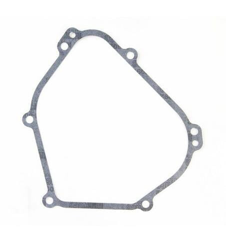 Briggs & Stratton Ölwannendichtung 699485