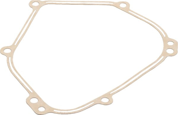 Briggs & Stratton Ölwannendichtung 798462