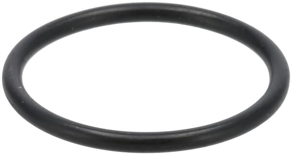 Briggs & Stratton O-Ring-Dichtung 809894