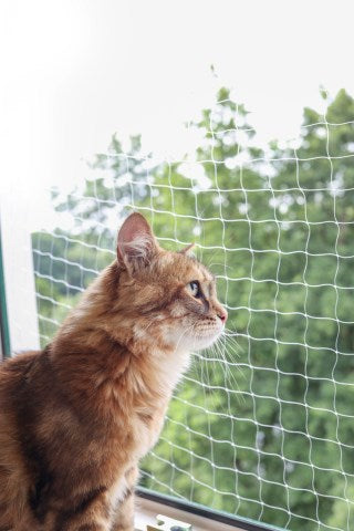 Kerbl Katzenschutznetz 6 x 3 m, transparent 82655