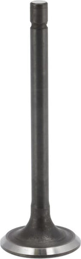 Briggs & Stratton Auslassventil 843752