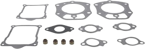 Briggs & Stratton Satz Ventildichtungen 846672