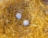 Kerbl Nesteier aus Ton für Hühner (2 Eier pro Blister) 73004/2