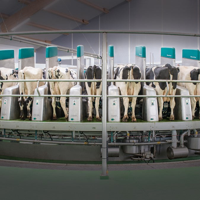 GEA DairyProQ automatisches Melkkarussell