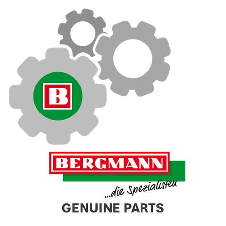 Bergmann original Sperrklinke 01-62-0076 - 606050019