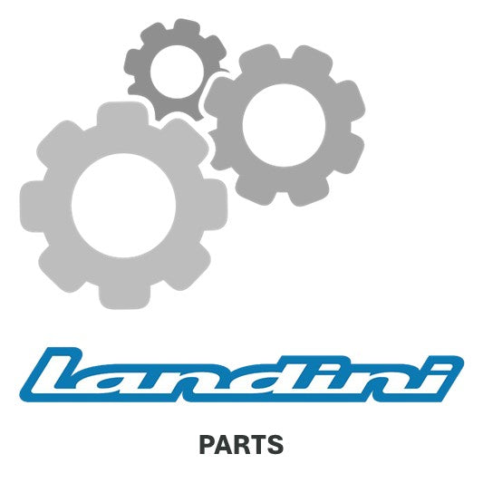 Landini Ring 339069X1