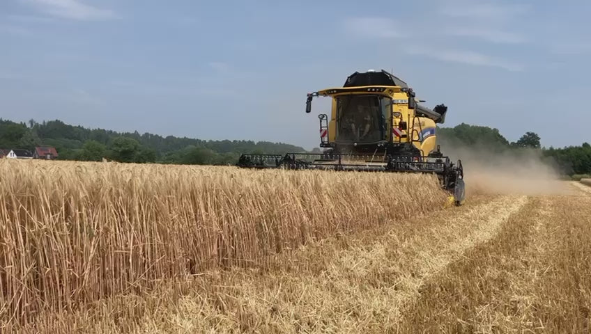 Geringhoff Harvest Star* Vario Schneidwerk