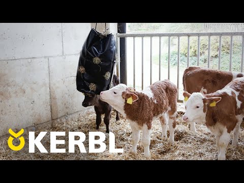 Kerbl Hay Bag Heutrage klein für Pferde oder Kälber -326102